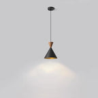 Contemporary Luxury Conical Dome Brass Wood 1-Light Pendant Light For Living Room
