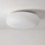 Contemporary Scandinavian Oval Apple Iron Acrylic LED Flush Mount Ceiling Light for Bedroom
