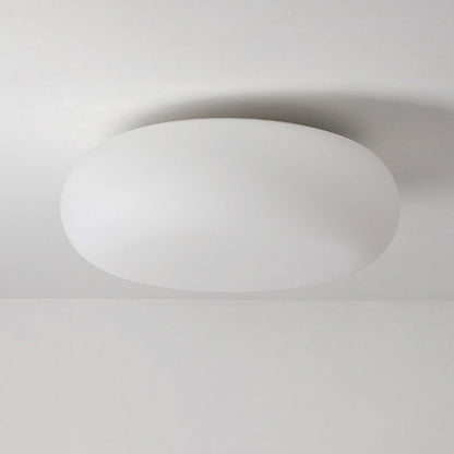 Contemporary Scandinavian Oval Apple Iron Acrylic LED Flush Mount Ceiling Light for Bedroom