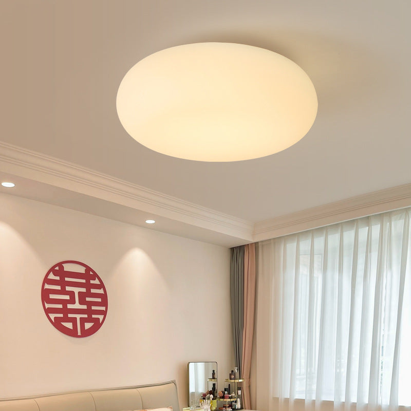 Contemporary Scandinavian Oval Apple Iron Acrylic LED Flush Mount Ceiling Light for Bedroom