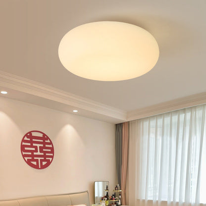 Contemporary Scandinavian Oval Apple Iron Acrylic LED Flush Mount Ceiling Light for Bedroom