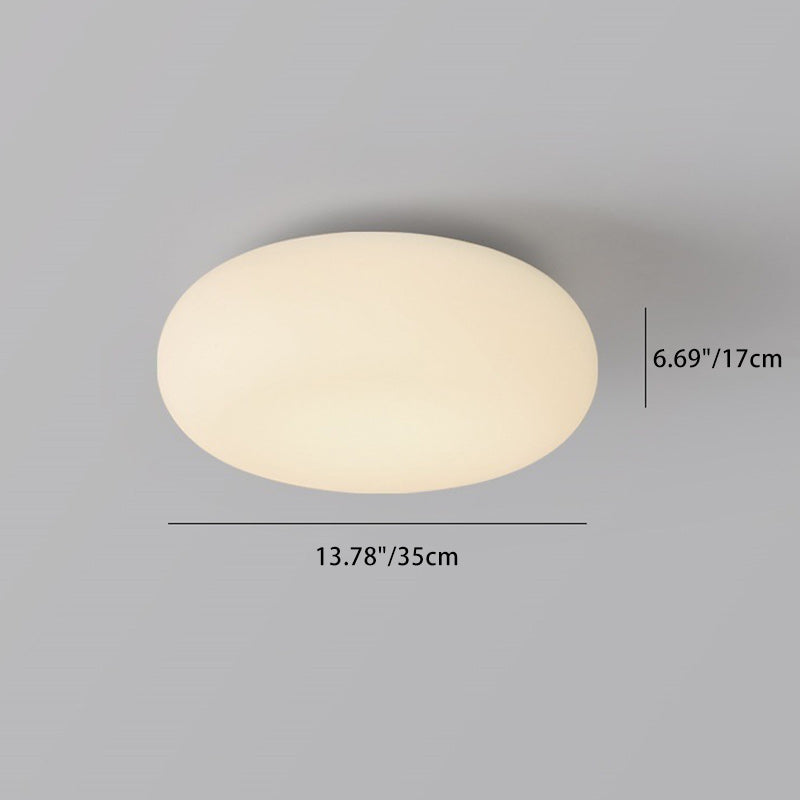 Contemporary Scandinavian Oval Apple Iron Acrylic LED Flush Mount Ceiling Light for Bedroom