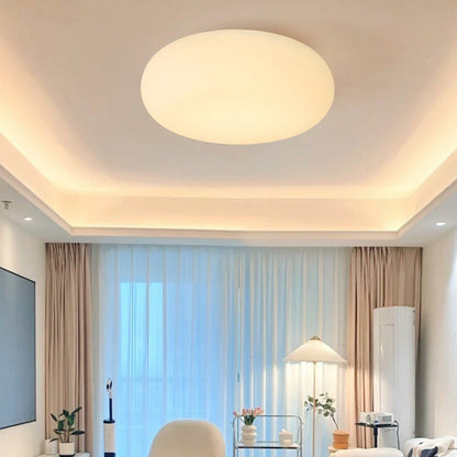 Contemporary Scandinavian Oval Apple Iron Acrylic LED Flush Mount Ceiling Light for Bedroom