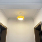 Contemporary Scandinavian Persimmon Oval Disc Base Iron Glass 1-light Pendant Light for Living Room BulbSquare