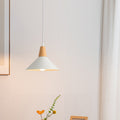 Contemporary Scandinavian Flared Iron Wooden 1-Light Pendant Light For Living Room