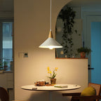 Contemporary Scandinavian Flared Iron Wooden 1-Light Pendant Light For Living Room