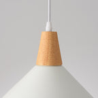 Contemporary Scandinavian Flared Iron Wooden 1-Light Pendant Light For Living Room