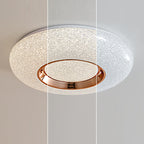 Contemporary Luxury Dazzling Crystal Sand Acrylic Geometric Ring LED Flush Mount Ceiling Light For Bedroom