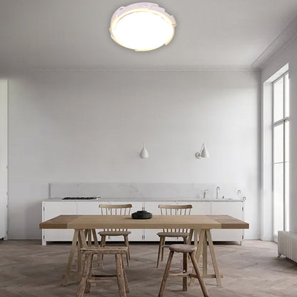 Modern Minimalist PVC Round LED Solar Waterproof Flush Mount Ceiling Light For Hallway