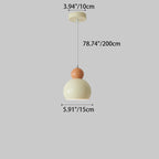 Traditional French Iron Geometric Sphere Shade 1-Light Pendant Light For Bedroom