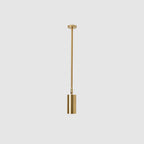 Modern Minimalist Iron Cylinder Shade Long Rod LED Pendant Light Spotlight For Living Room