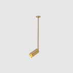 Modern Minimalist Iron Cylinder Shade Long Rod LED Pendant Light Spotlight For Living Room