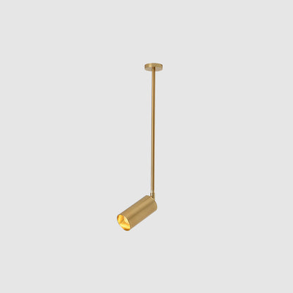Modern Minimalist Iron Cylinder Shade Long Rod LED Pendant Light Spotlight For Living Room