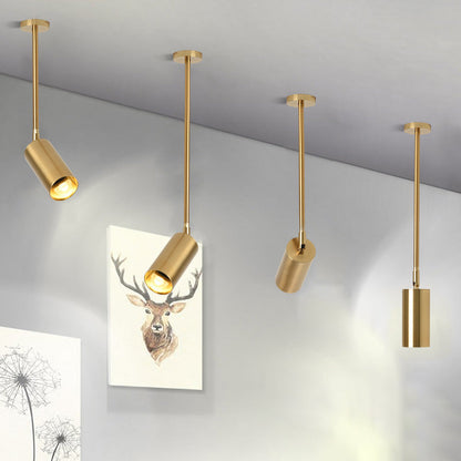 Modern Minimalist Iron Cylinder Shade Long Rod LED Pendant Light Spotlight For Living Room