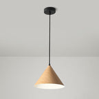 Contemporary Scandinavian Round Cone Iron 1-Light Pendant Light For Bedroom