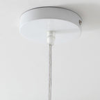 Contemporary Creative Bird Round Cylinder Resin Glass 1-Light Pendant Light For Dining Room