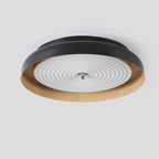 Modern Mid-century Dish Shape Round Iron Acrylic LED Flush Mount Ceiling Light for Bedroom