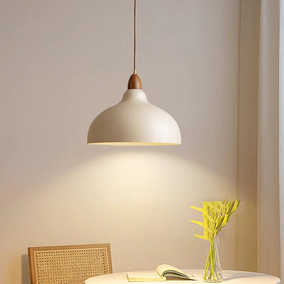 Traditional Japanese Dome Iron Solid Wood 1-light Pendant Light for Living Room
