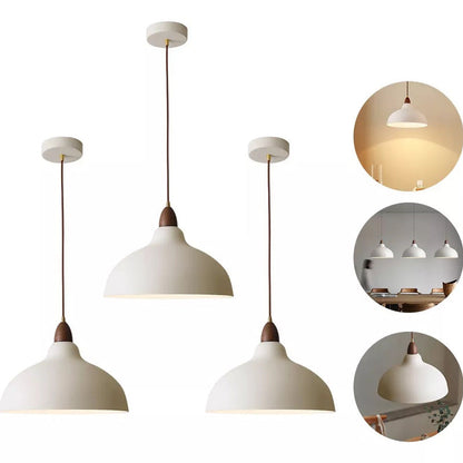 Traditional Japanese Dome Iron Solid Wood 1-light Pendant Light for Living Room
