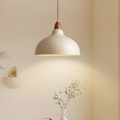 Traditional Japanese Dome Iron Solid Wood 1-light Pendant Light for Living Room