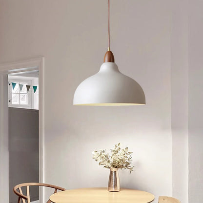 Traditional Japanese Dome Iron Solid Wood 1-light Pendant Light for Living Room