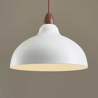 Traditional Japanese Dome Iron Solid Wood 1-light Pendant Light for Living Room