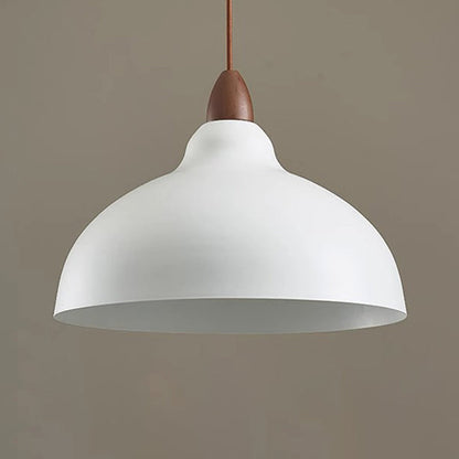 Traditional Japanese Dome Iron Solid Wood 1-light Pendant Light for Living Room