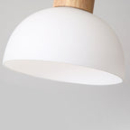 Contemporary Nordic Bird Dome Solid Wood Glass 1-Light Pendant Light For Bedroom