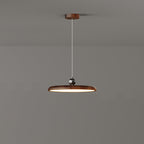 Traditional French Round Iron PE LED Pendant Light For Living Room