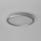 Contemporary Nordic Kids Swan Round Iron Aluminum Acrylic LED Flush Mount Ceiling Light For Bedroom