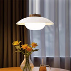 Modern Simplicity Dome Iron Glass Wooden LED Pendant Light For Living Room
