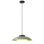 Modern Simplicity Dome Iron Glass Wooden LED Pendant Light For Living Room
