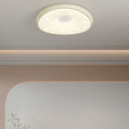 Modern Minimalist Oval LED Ceiling Light – Iron & Acrylic Flush Mount for Bedroom