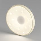 Modern Minimalist Oval LED Ceiling Light – Iron & Acrylic Flush Mount for Bedroom