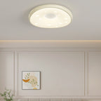 Modern Minimalist Oval LED Ceiling Light – Iron & Acrylic Flush Mount for Bedroom