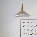 Modern Simplicity Cone Iron 2-Light Pendant Light For Bedroom