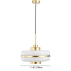 Modern Transitional Cylinder Iron Glass 1-Light Pendant Light For Living Room