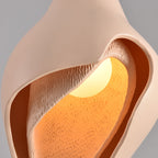 Modern Luxury Conch Metal Resin 1/2 Light Pendant Light For Living Room
