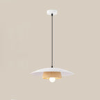 Traditional Chinese Wood Grain Round Iron Shade 1-Light Pendant Light For Living Room