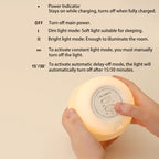 Lumendat Contemporary Creative ABS Silicone Mushroom-shaped Kids USB Charging LED Table Lamp Night Light With Timer Function For Bedroom Lumendat