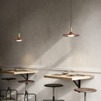 Traditional Rustic Round Iron Acrylic LED Pendant Light For Dining Room