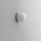 Modern Minimalist Metal Glass Ball 1-Light Wall Sconce Lamp For Living Room