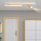 Modern Minimalist Long Oval Cylinder Acrylic Iron LED Flush Mount Ceiling Light for Living Room