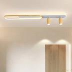 Modern Minimalist Long Oval Cylinder Acrylic Iron LED Flush Mount Ceiling Light for Living Room