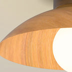 Modern Minimalist Disc Round Glass Iron 1-Light Semi-Flush Mount Ceiling Light For Living Room
