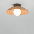 Modern Minimalist Disc Round Glass Iron 1-Light Semi-Flush Mount Ceiling Light For Living Room