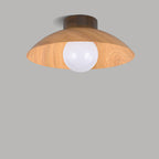 Modern Minimalist Disc Round Glass Iron 1-Light Semi-Flush Mount Ceiling Light For Living Room