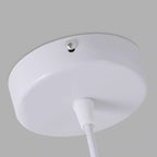 Contemporary Creative Oval Hollow Resin Iron 1-light Pendant Light for Bedroom