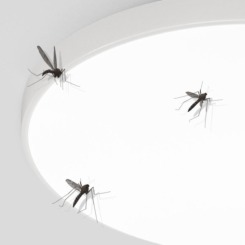 Modern Minimalist Round Acrylic Iron LED Flush Mount Ceiling Light for Living Room