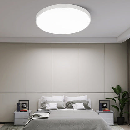 Modern Minimalist Round Acrylic Iron LED Flush Mount Ceiling Light for Living Room